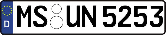 MS-UN5253