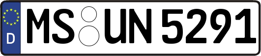 MS-UN5291