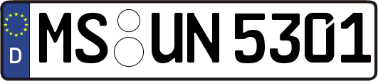 MS-UN5301