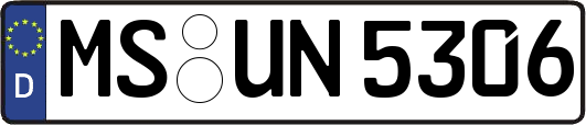 MS-UN5306