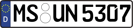 MS-UN5307
