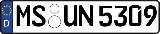 MS-UN5309