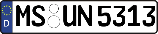 MS-UN5313