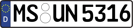MS-UN5316
