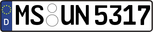 MS-UN5317