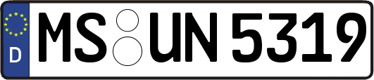 MS-UN5319