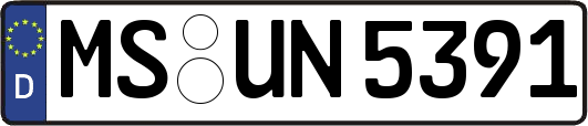 MS-UN5391