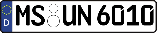 MS-UN6010