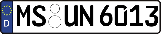MS-UN6013