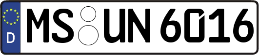 MS-UN6016