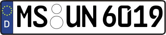MS-UN6019