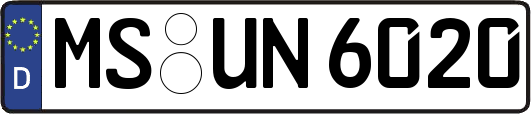 MS-UN6020