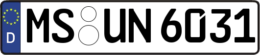 MS-UN6031