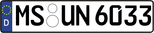 MS-UN6033