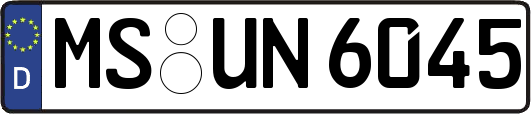 MS-UN6045
