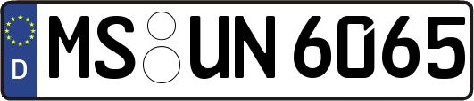 MS-UN6065