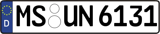 MS-UN6131