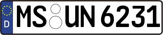 MS-UN6231
