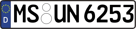 MS-UN6253