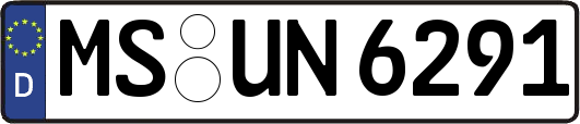 MS-UN6291