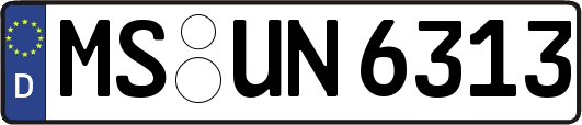 MS-UN6313