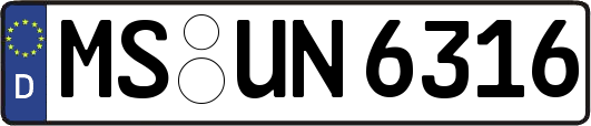MS-UN6316