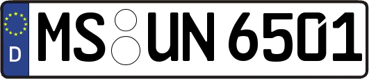 MS-UN6501