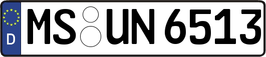 MS-UN6513