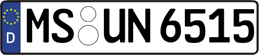 MS-UN6515