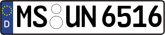 MS-UN6516