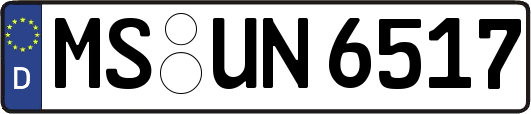 MS-UN6517