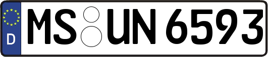 MS-UN6593