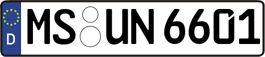 MS-UN6601
