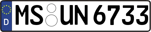 MS-UN6733