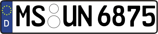 MS-UN6875