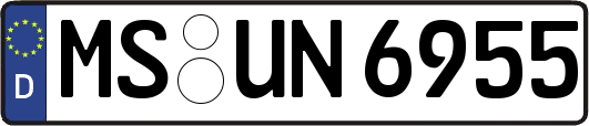 MS-UN6955