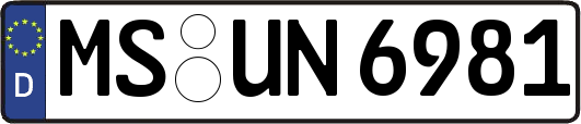 MS-UN6981