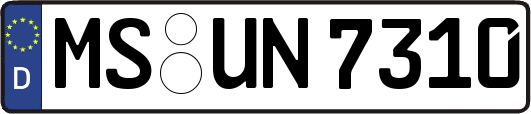 MS-UN7310