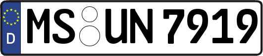 MS-UN7919