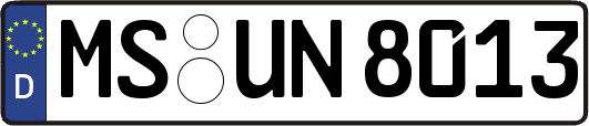 MS-UN8013