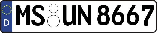 MS-UN8667