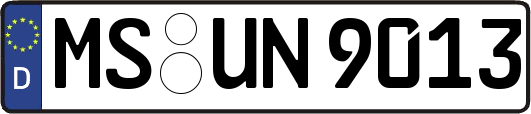 MS-UN9013