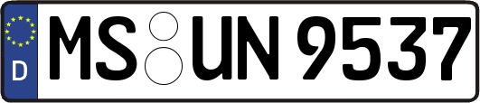 MS-UN9537