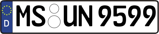 MS-UN9599