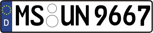 MS-UN9667