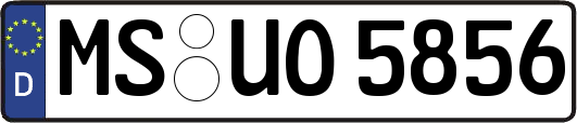 MS-UO5856