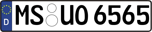 MS-UO6565