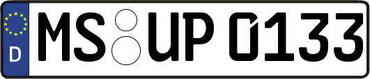 MS-UP0133