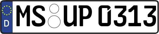 MS-UP0313