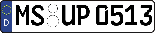 MS-UP0513